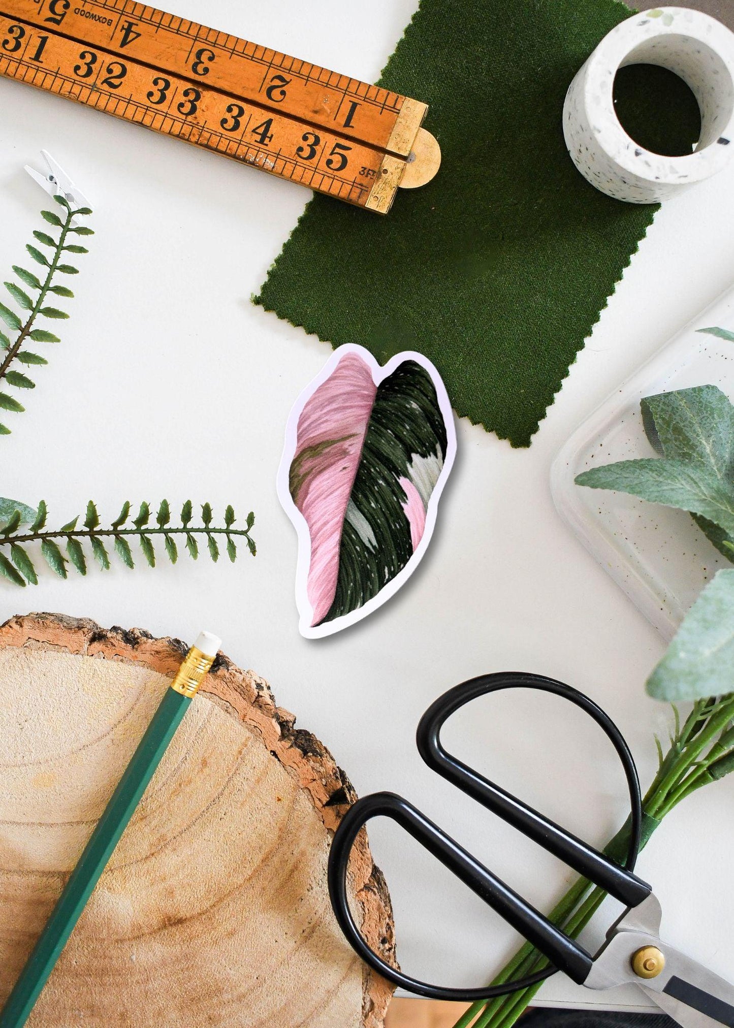 Philodendron Pink Princess Vinyl Sticker – Plant Lover Decal, Waterproof Laptop & Water Bottle Sticker, Tropical Houseplant Decoration