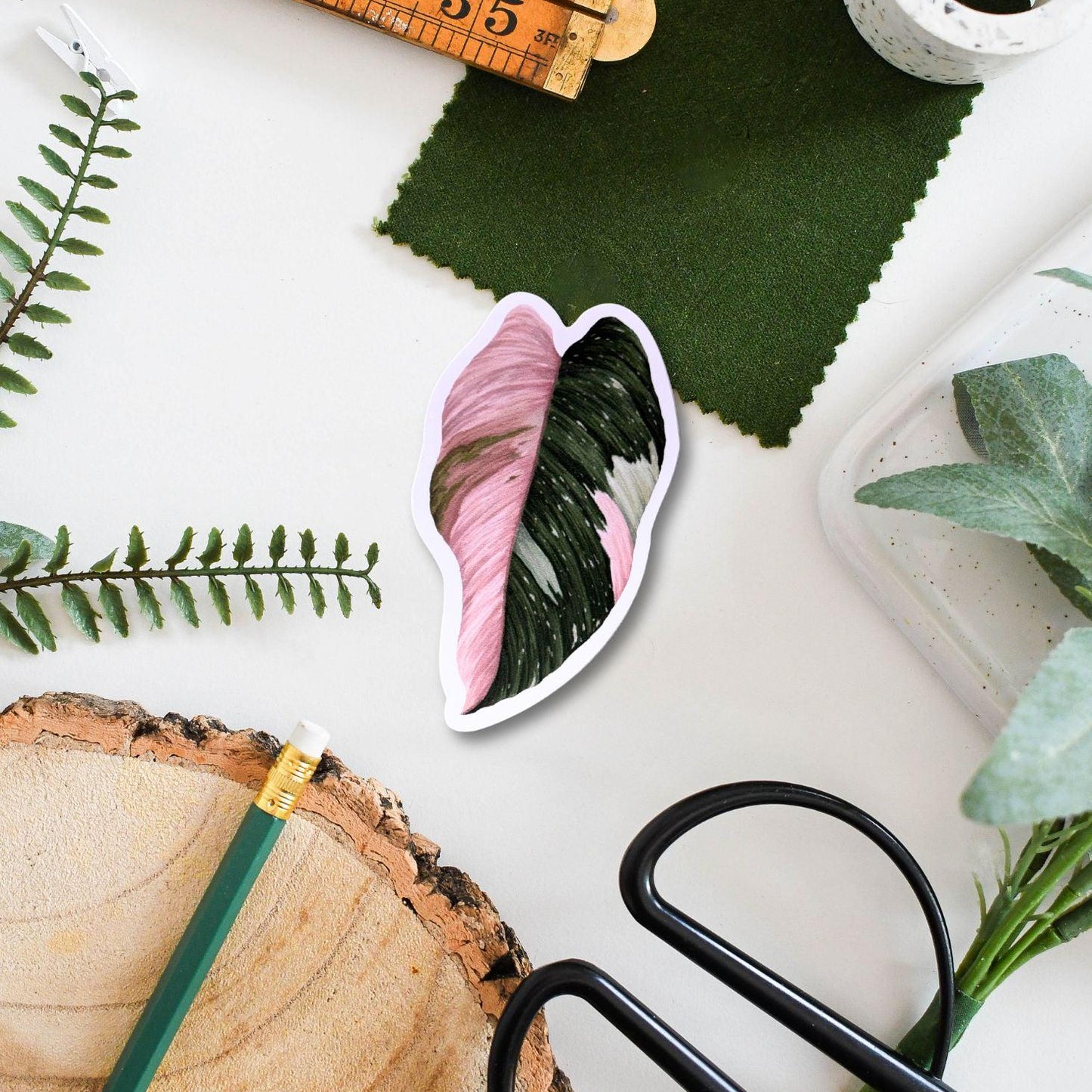 Philodendron Pink Princess Vinyl Sticker – Plant Lover Decal, Waterproof Laptop & Water Bottle Sticker, Tropical Houseplant Decoration