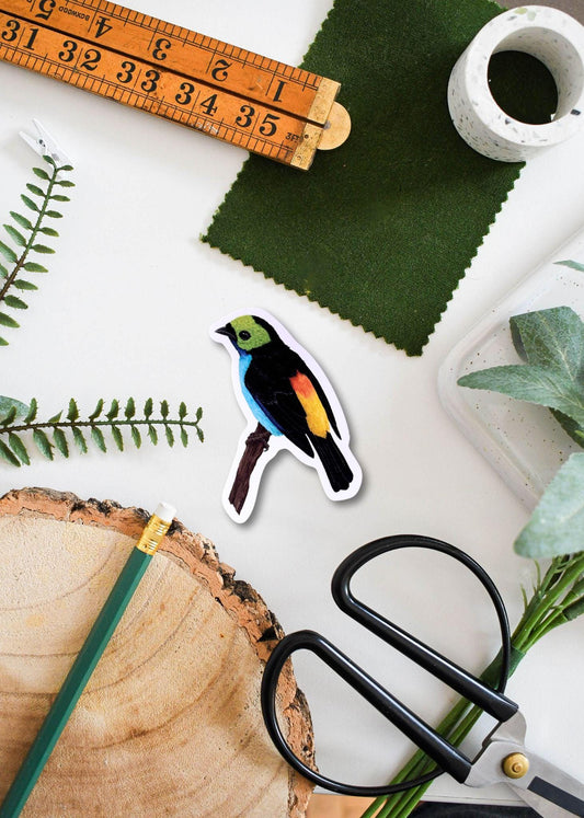 Paradise Tanager Vinyl Sticker - Colorful Bird Decal for Laptop, Water Bottle & Scrapbooking, Durable Weatherproof Bird Lover Gift