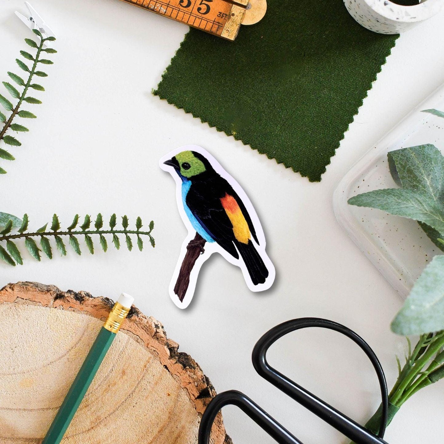 Paradise Tanager Vinyl Sticker - Colorful Bird Decal for Laptop, Water Bottle & Scrapbooking, Durable Weatherproof Bird Lover Gift