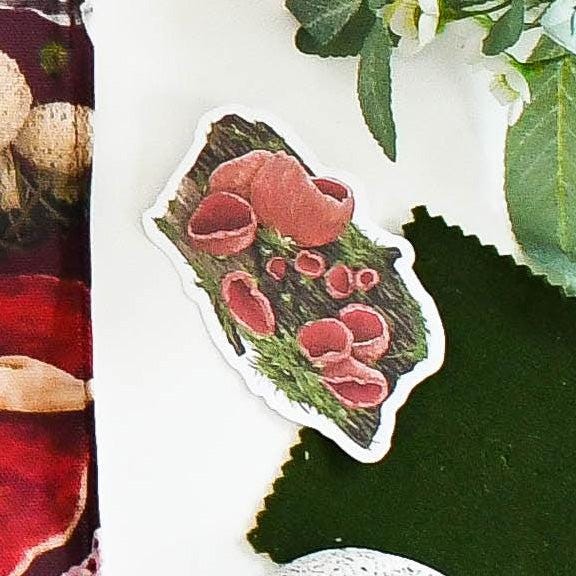 Scarlet Elf Cap Fungi Sticker - Vibrant Nature Art, Cute Mushroom Design, Perfect for Laptops, Journals & Eco Lovers