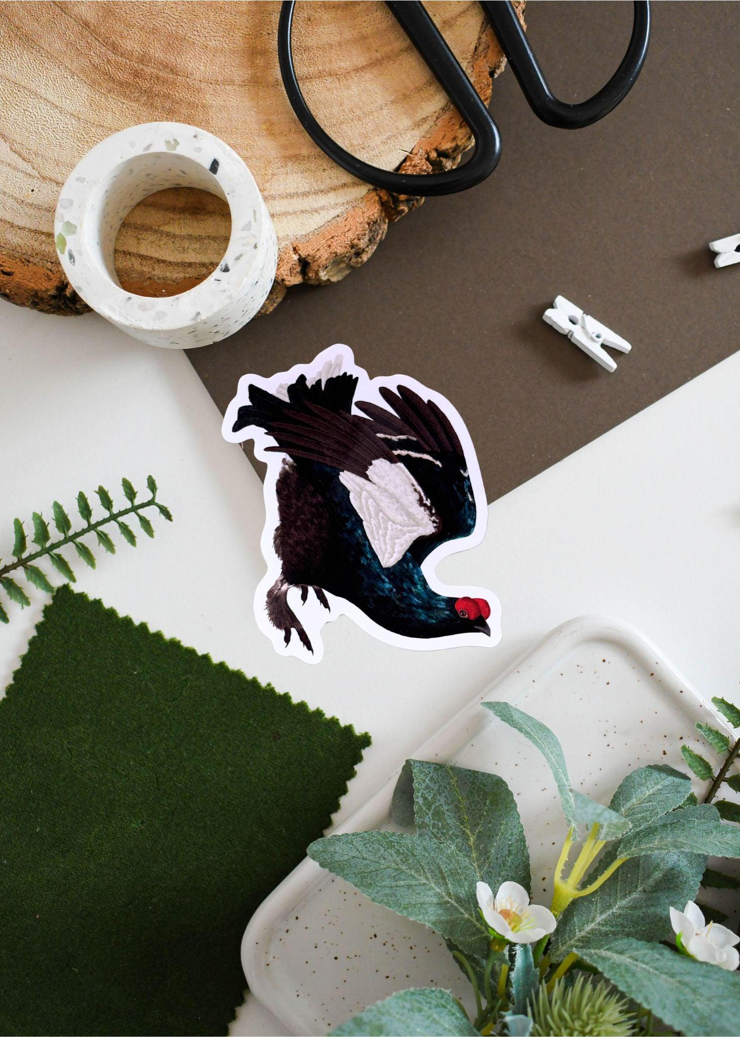 Black Grouse Vinyl Sticker - Durable Waterproof Decal for Laptops, Water Bottles & Outdoor Gear