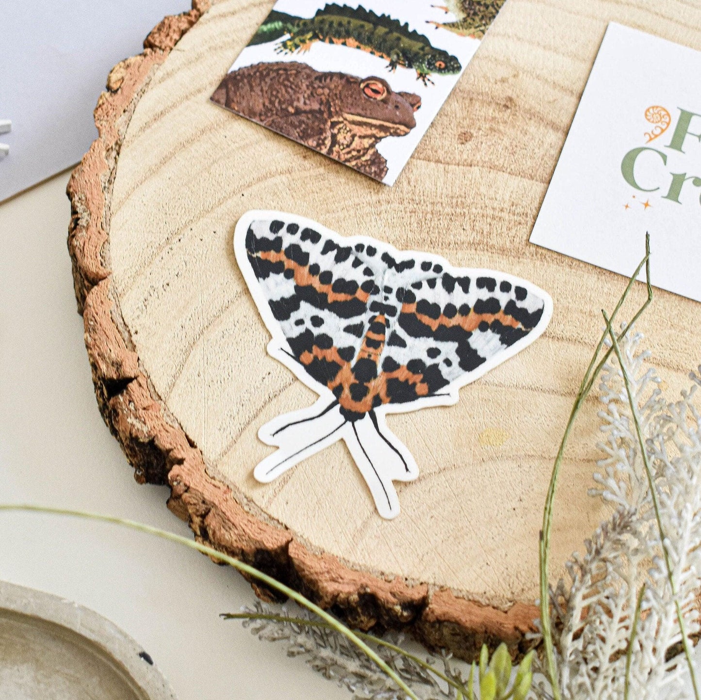 Moth vinyl sticker, Insect Laptop decal, Magpie moth, Butterfly sticker, Nature stickers, british wildlife stickers, butterfly art decor