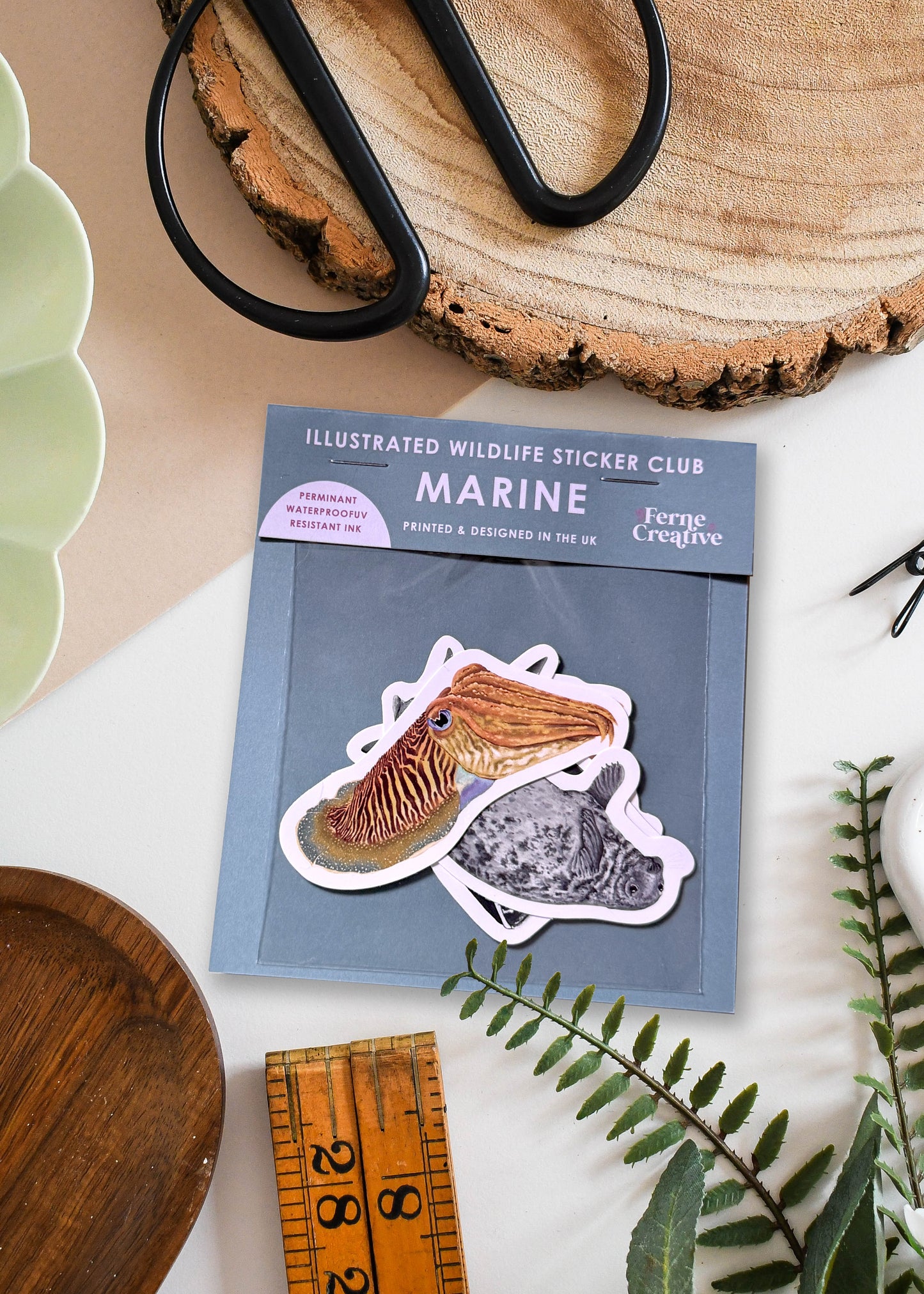 British Marine Wildlife Sticker Pack – July Edition