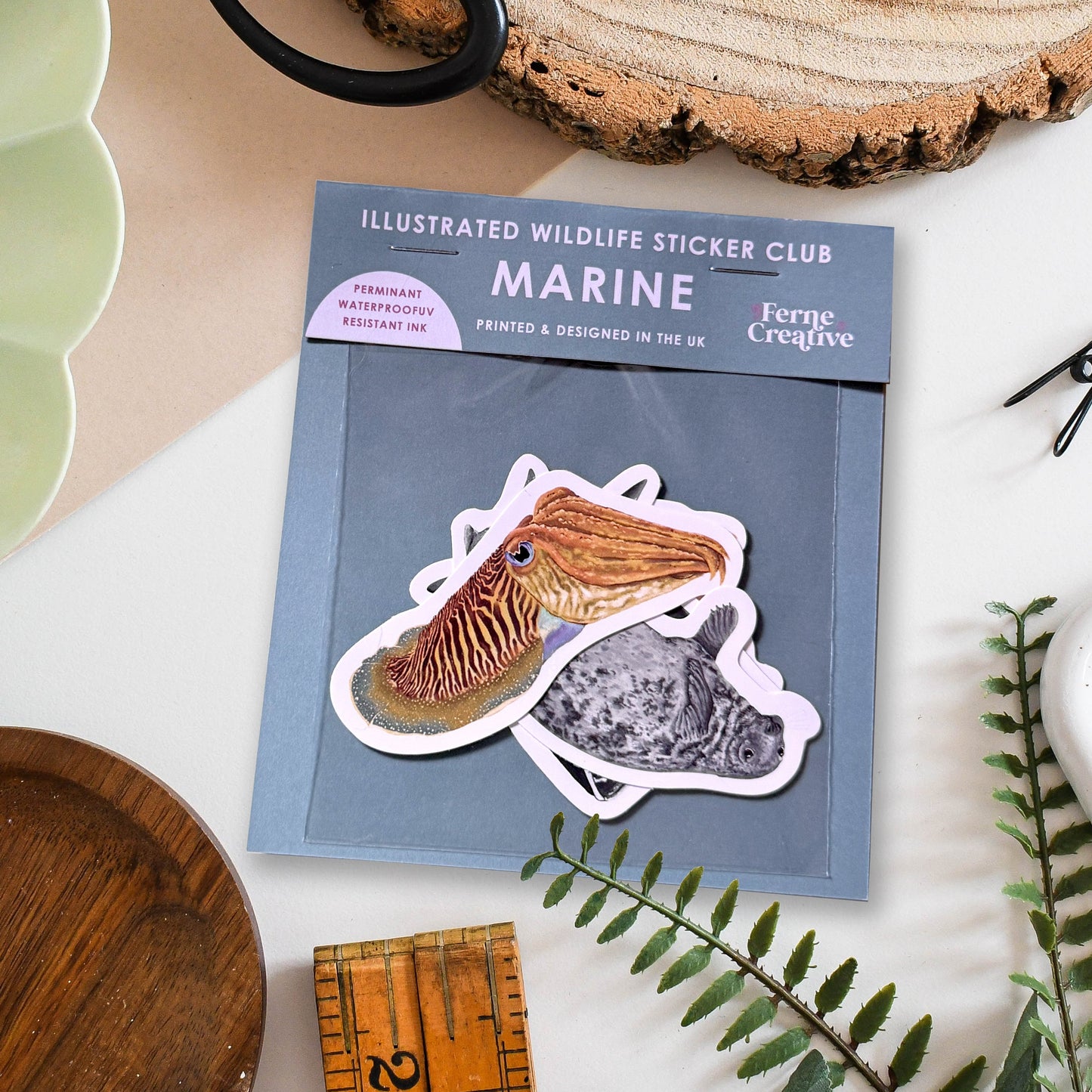 Illustrated wildlife sticker club packaging with marine stickers on a natural background
