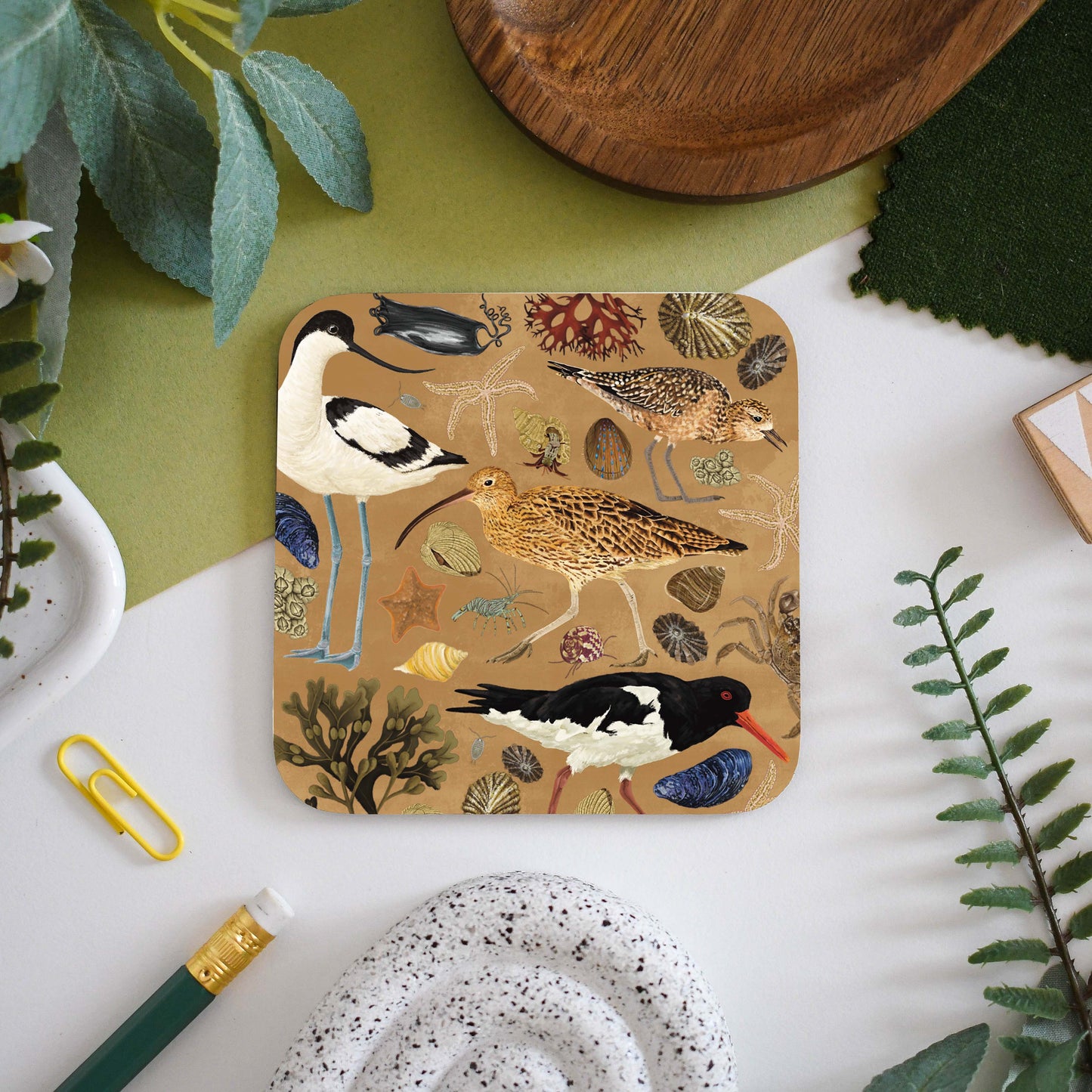 Illustrated Wading Birds Coaster