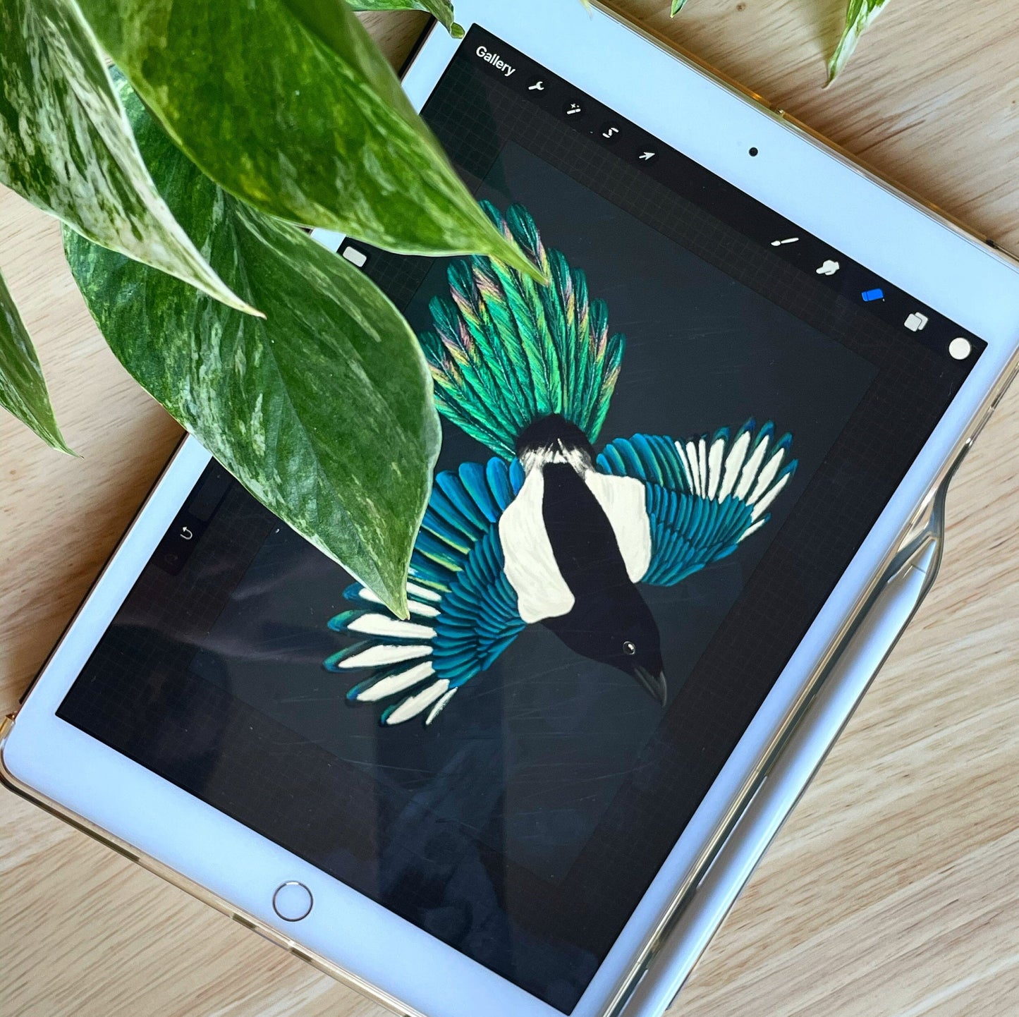 Magpie vinyl decal, Bird laptop sticker, Magpie illustration, Witch Stickers, bird lover gift, british wildlife stickers, Bird watching