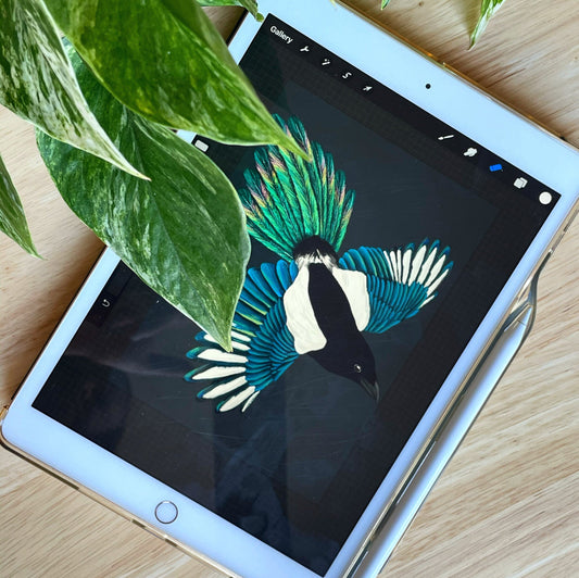 Magpie vinyl decal, Bird laptop sticker, Magpie illustration, Witch Stickers, bird lover gift, british wildlife stickers, Bird watching
