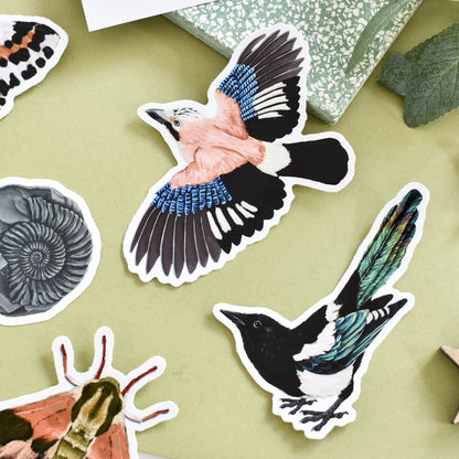 Magpie vinyl sticker bundle, Bird Laptop decal, Magpie illustration, Nature stickers, Bird Stickers, Bird gift set, Raven decal, witch gift