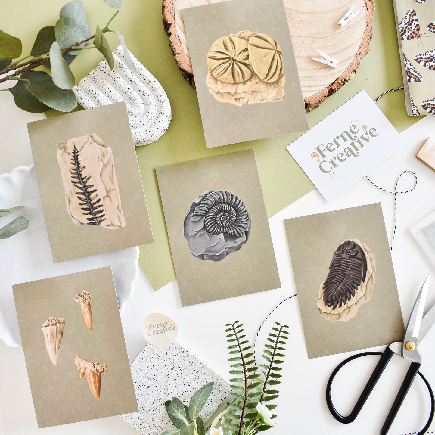 Illustrated Fossil Postcard Set