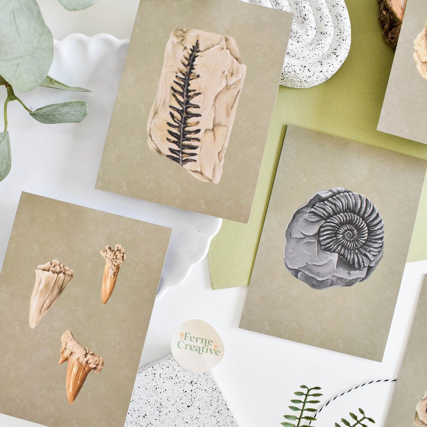 Illustrated Fossil Postcard Set