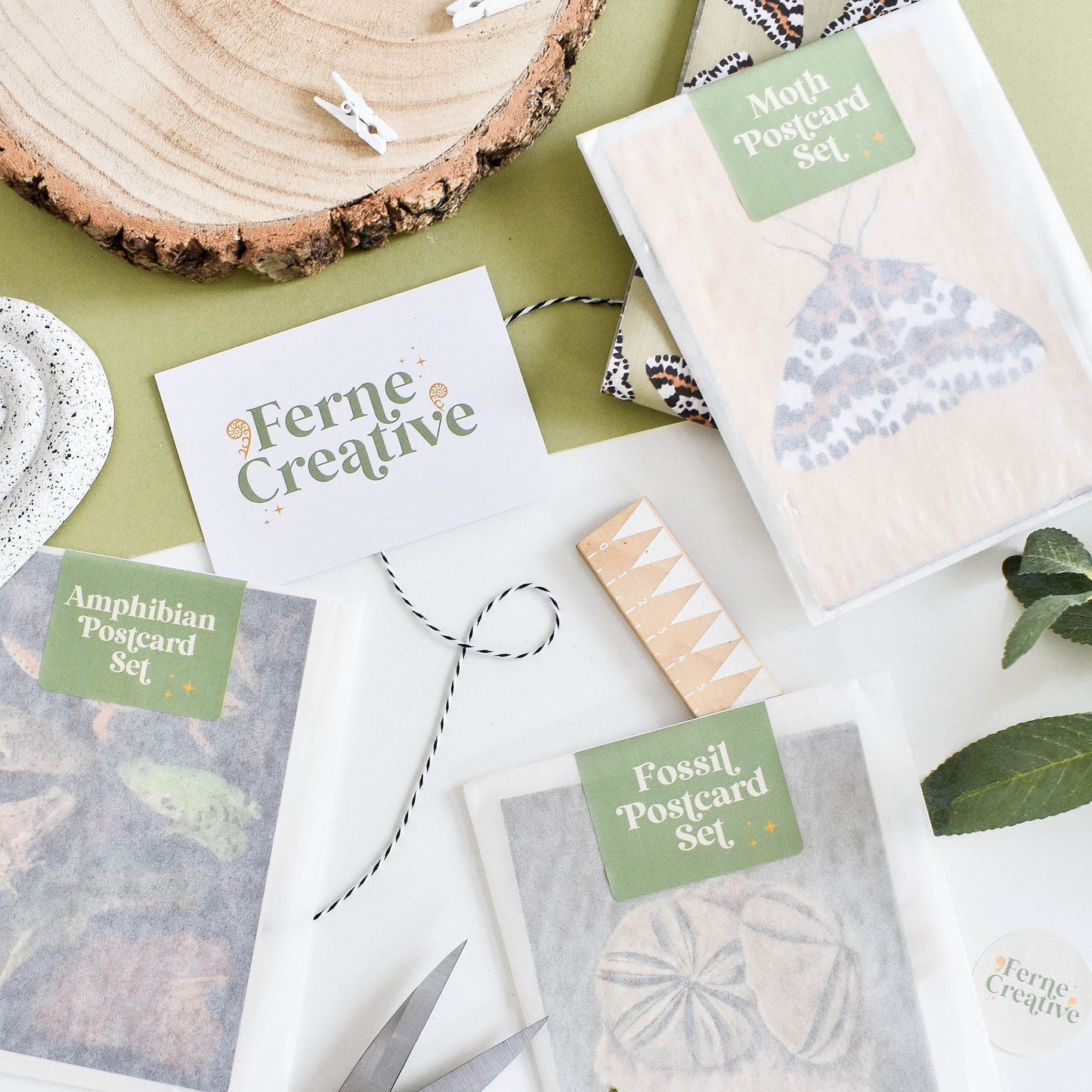 Illustrated Fossil Postcard Set