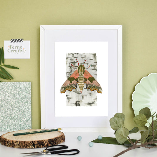 Moth art, Lime hawk-moth, Natural history illustration, entomology gifts, bugs and insects, colourful gallery, rustic kitchen decor, Pink