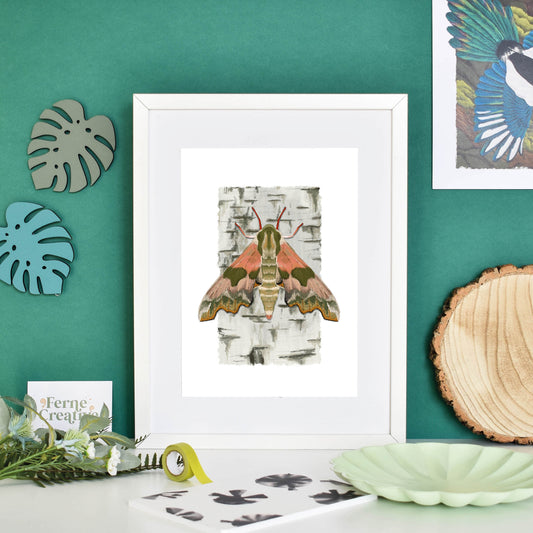 Moth art, Lime hawk-moth, Natural history illustration, entomology gifts, bugs and insects, colourful gallery, rustic kitchen decor, Pink