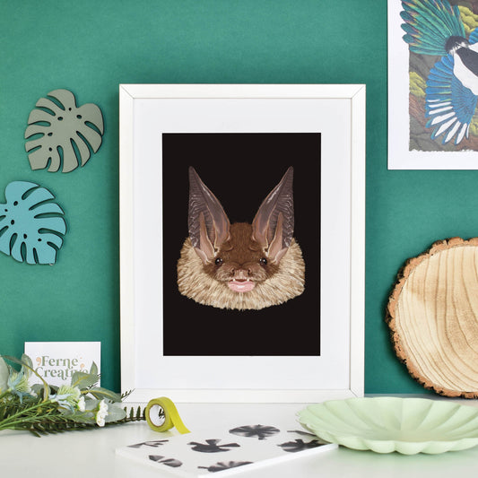 Long-eared Bat illustrated print