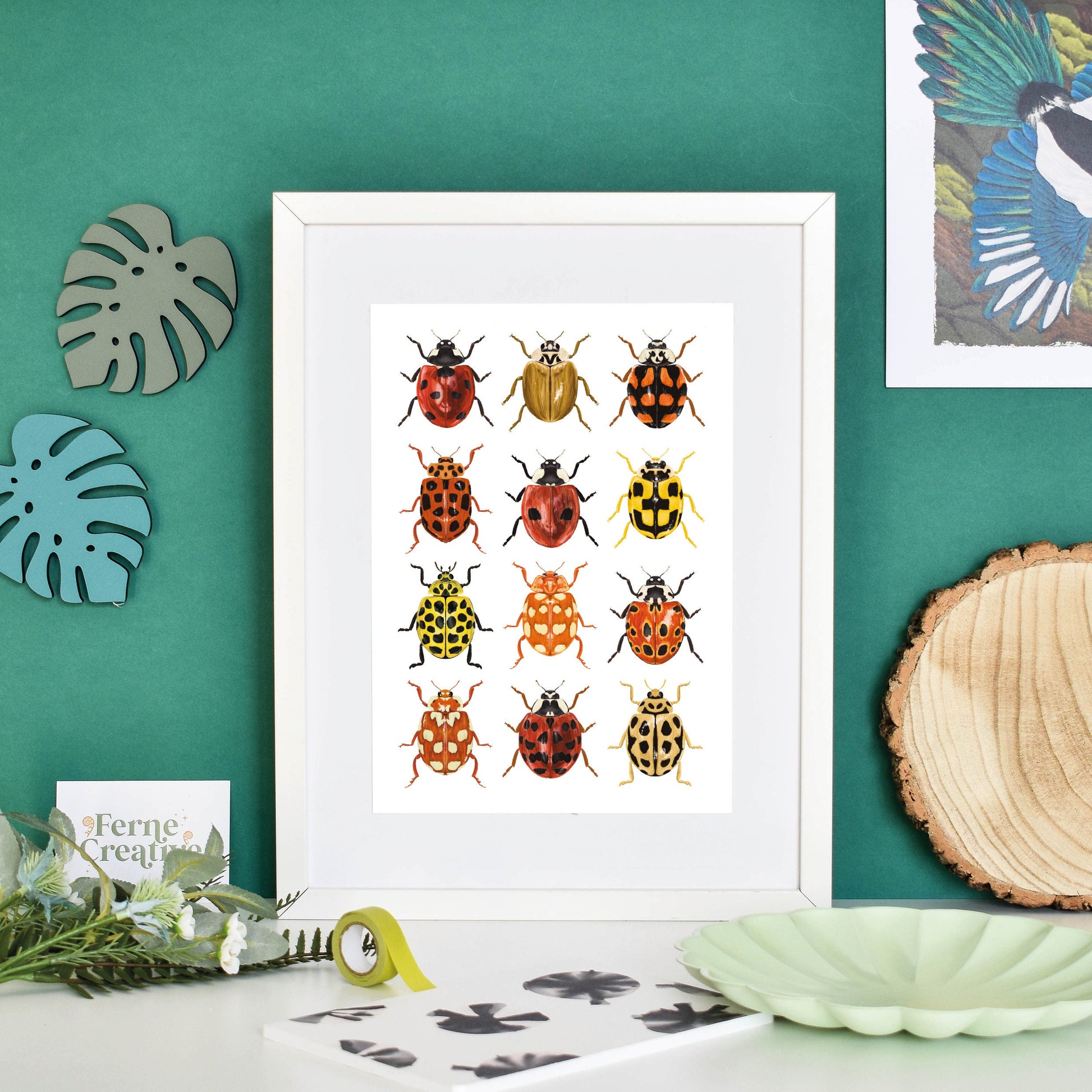 Ladybird Print, Ladybug Print, British Ladybirds, Insect Print, Garden Insects, Beetle Print, Entomology prints, natural history wall art