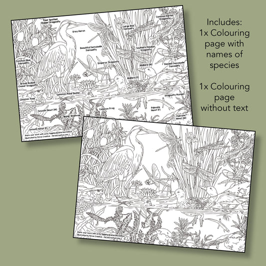 Printable Pond Life Colouring Page
