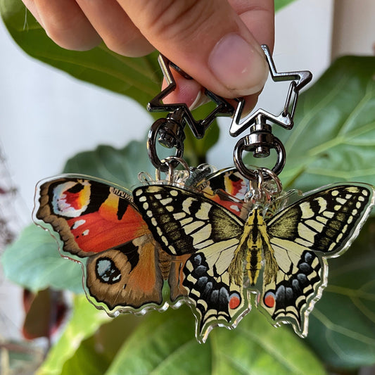 Butterfly Keychain Bundle, Butterfly Lover Gift, Butterfly Charm, Nature Lover Gift, Entomology keyring, Insect Keychain, Insect Lovers art