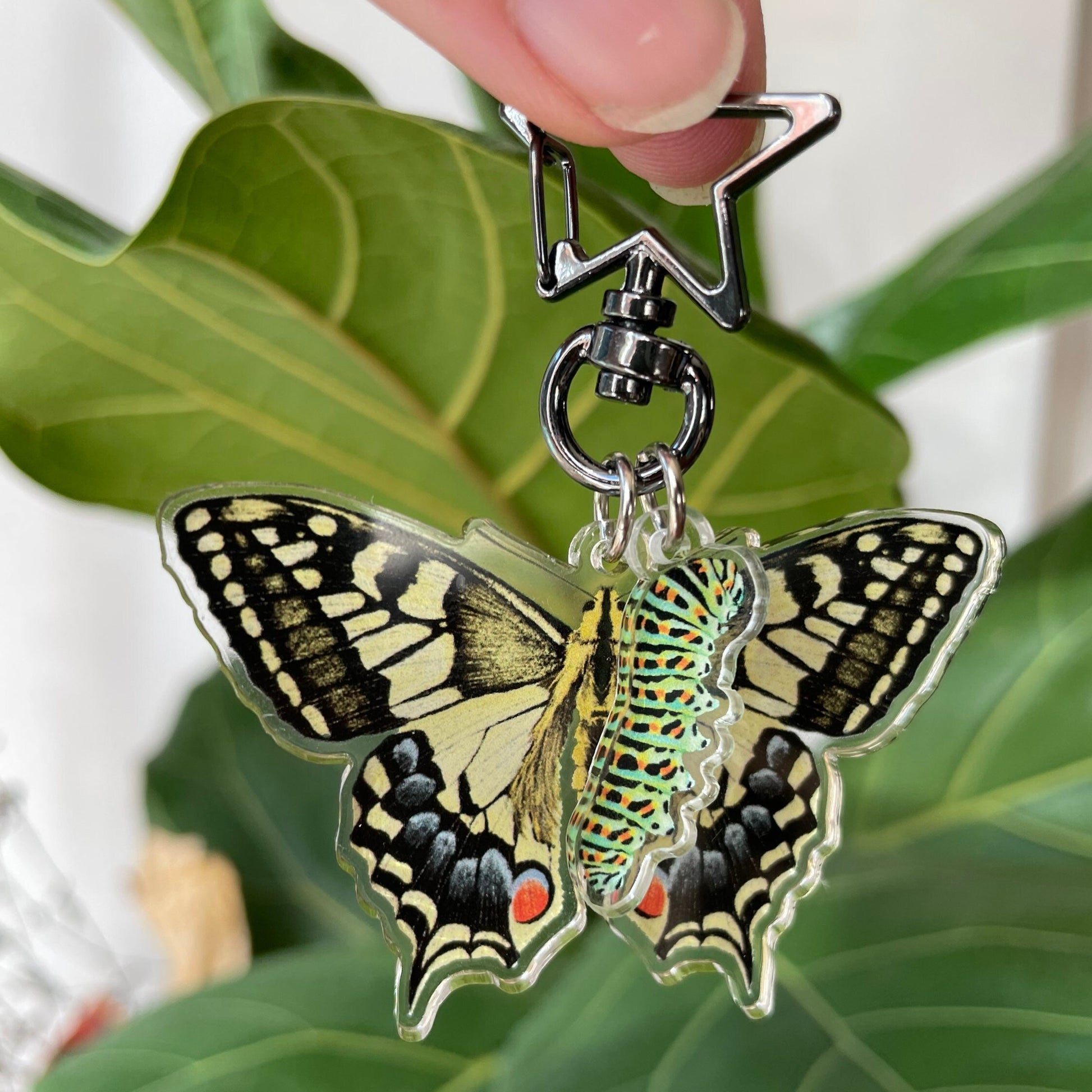 Swallowtail Butterfly Keychain, Butterfly Lover Gift, Butterfly Charm, Nature Lover Gift, Entomology keyring, Insect Keychain, Insect Lovers