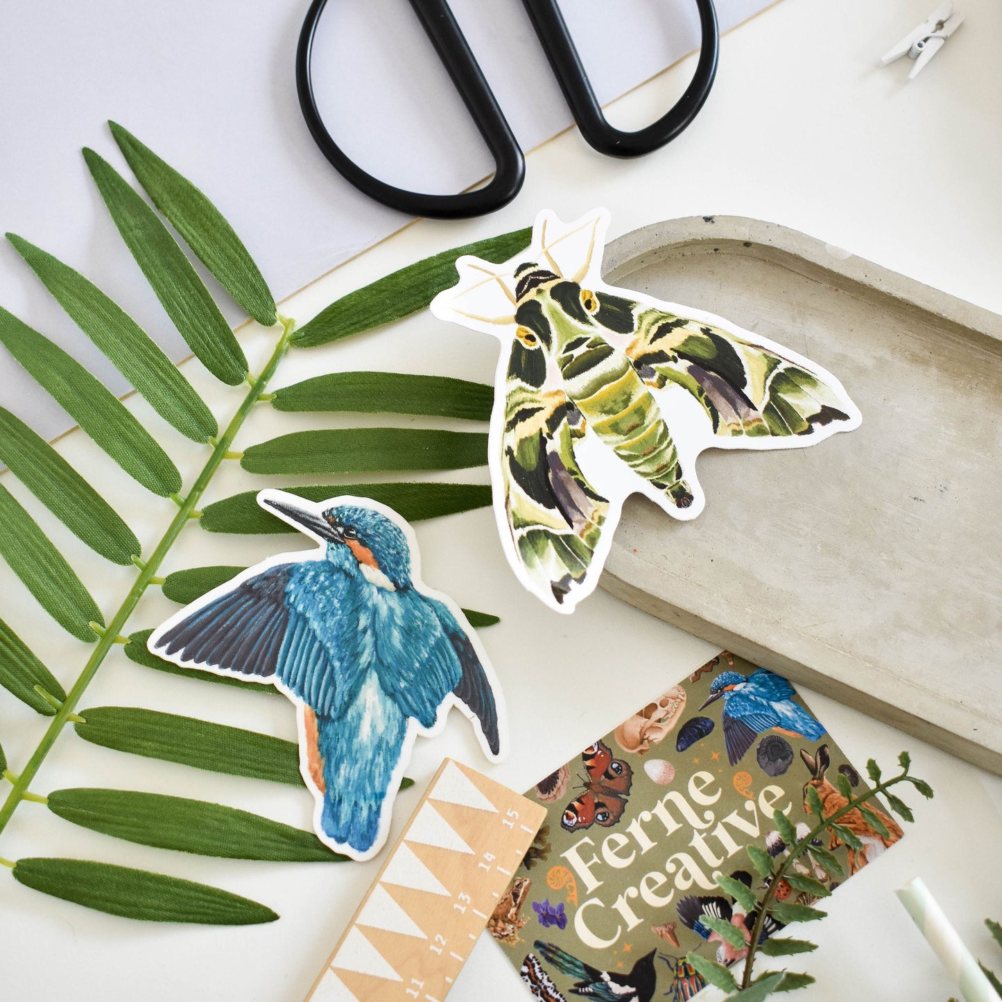 Kingfisher Sticker, nature illustrated sticker, natural history art, Bird lover gift, Blue bird decal, Kingfisher bird, Bird sticker