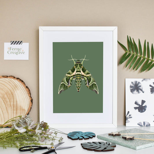 Moth Illustration, Oleander hawk-moth, Nature print, Entomology prints, Modern nature, Minimalist green, bugs and insects, cottagecore