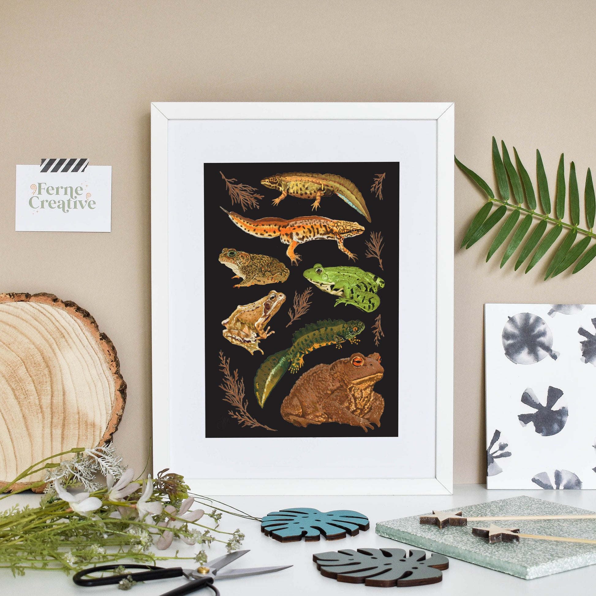 Amphibians print, frog lover gift, British wildlife, gothic home decor, natural history art, science illustration, woodland wall art, toad