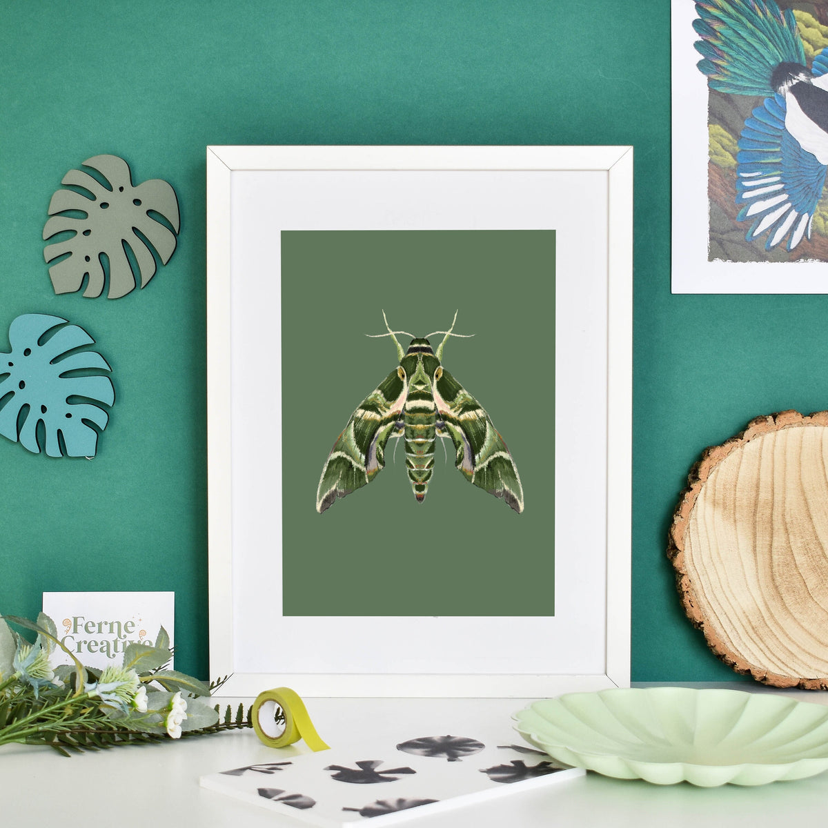 Moth Illustration, Oleander hawk-moth, Nature print, Entomology prints, Modern nature, Minimalist green, bugs and insects, cottagecore