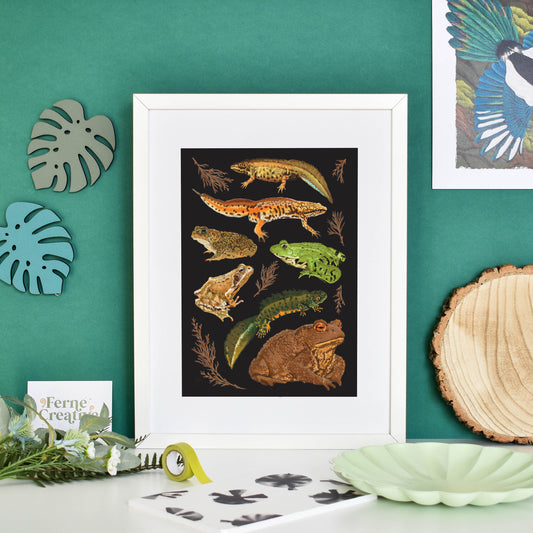 Amphibians print, frog lover gift, British wildlife, gothic home decor, natural history art, science illustration, woodland wall art, toad