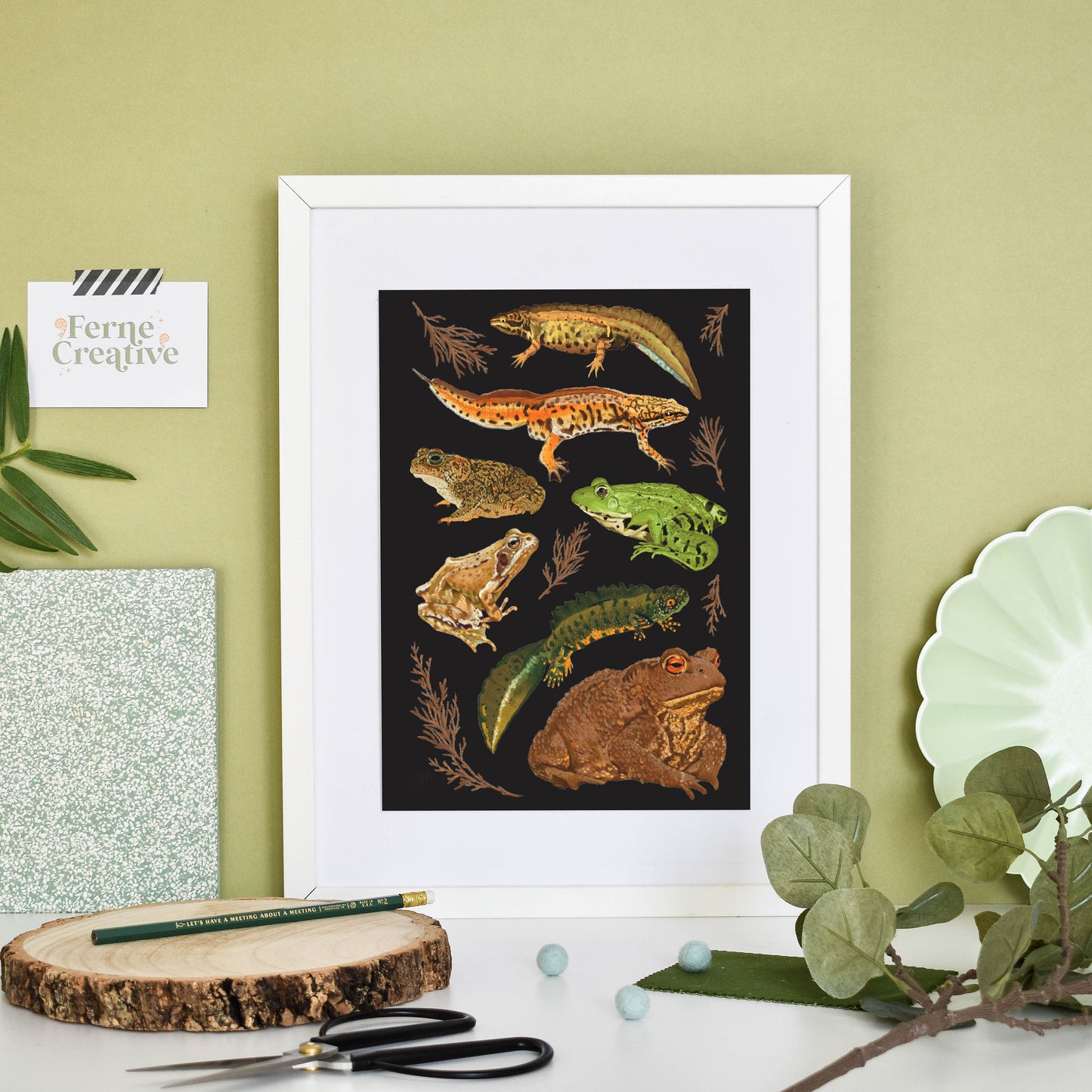 Amphibians print, frog lover gift, British wildlife, gothic home decor, natural history art, science illustration, woodland wall art, toad