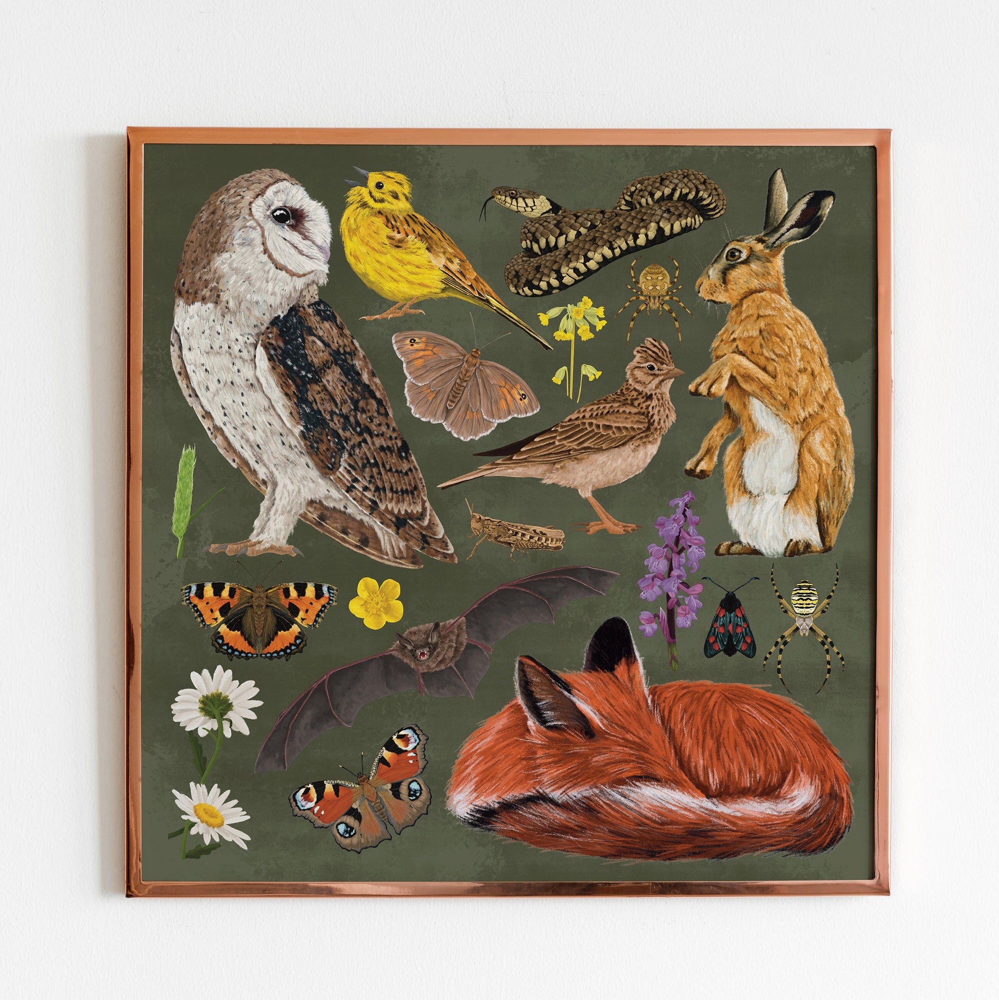 Meadow print, British wildlife, farmhouse decor, fox gift, Educational poster, Bird illustration, Owl Decor, Square print, Wildflower Print