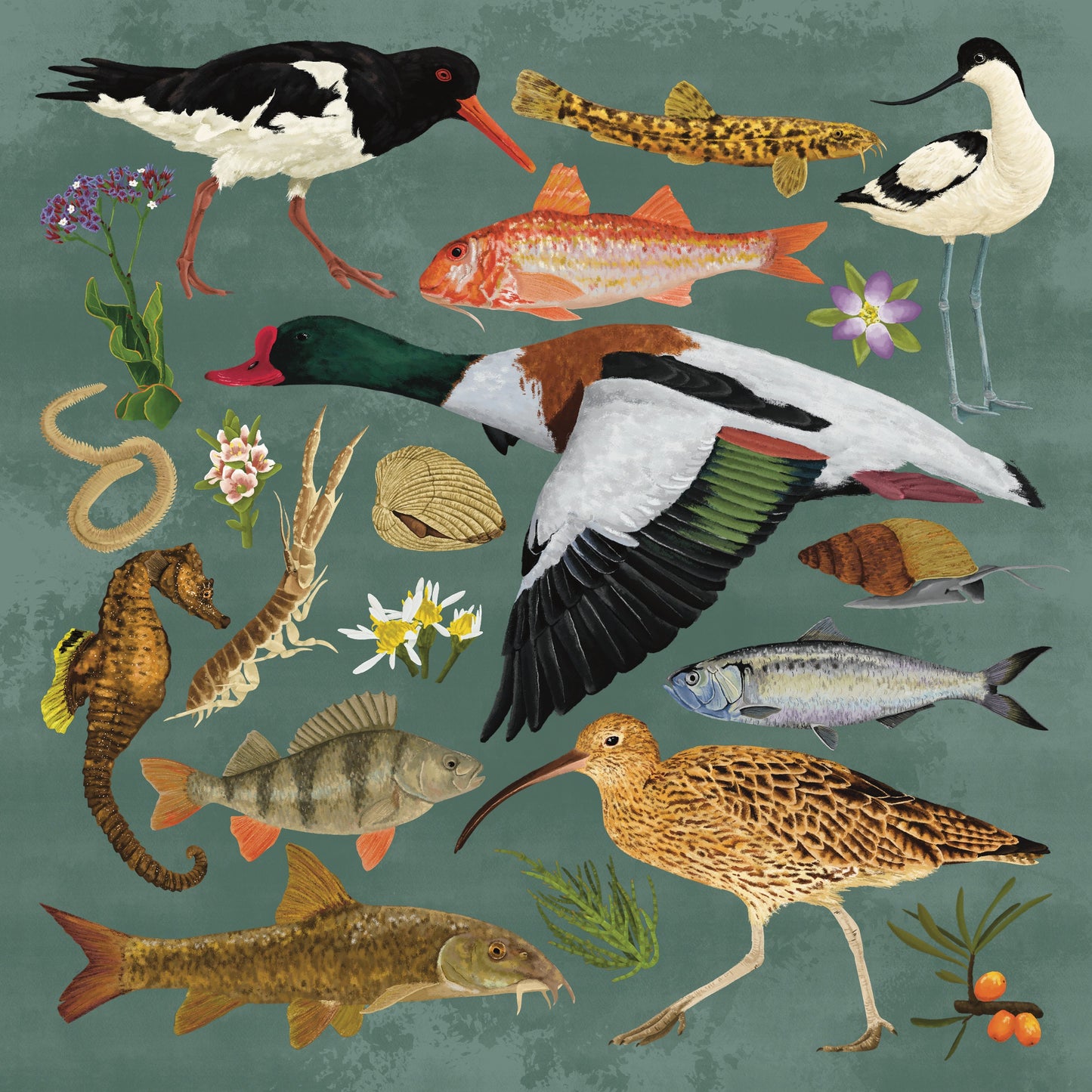 Estuary Wildlife Print