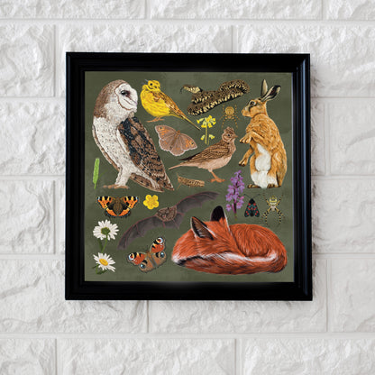Meadow print, British wildlife, farmhouse decor, fox gift, Educational poster, Bird illustration, Owl Decor, Square print, Wildflower Print