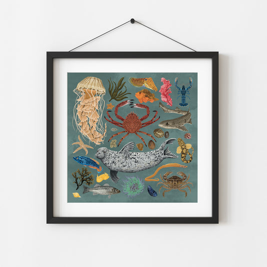 Blue Marine Life Wildlife Print