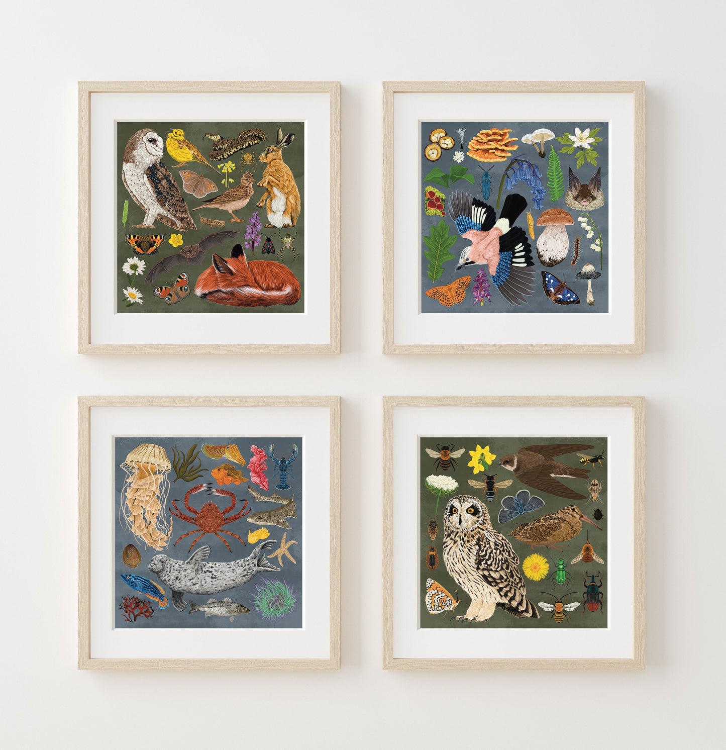 Blue Marine Life Wildlife Print