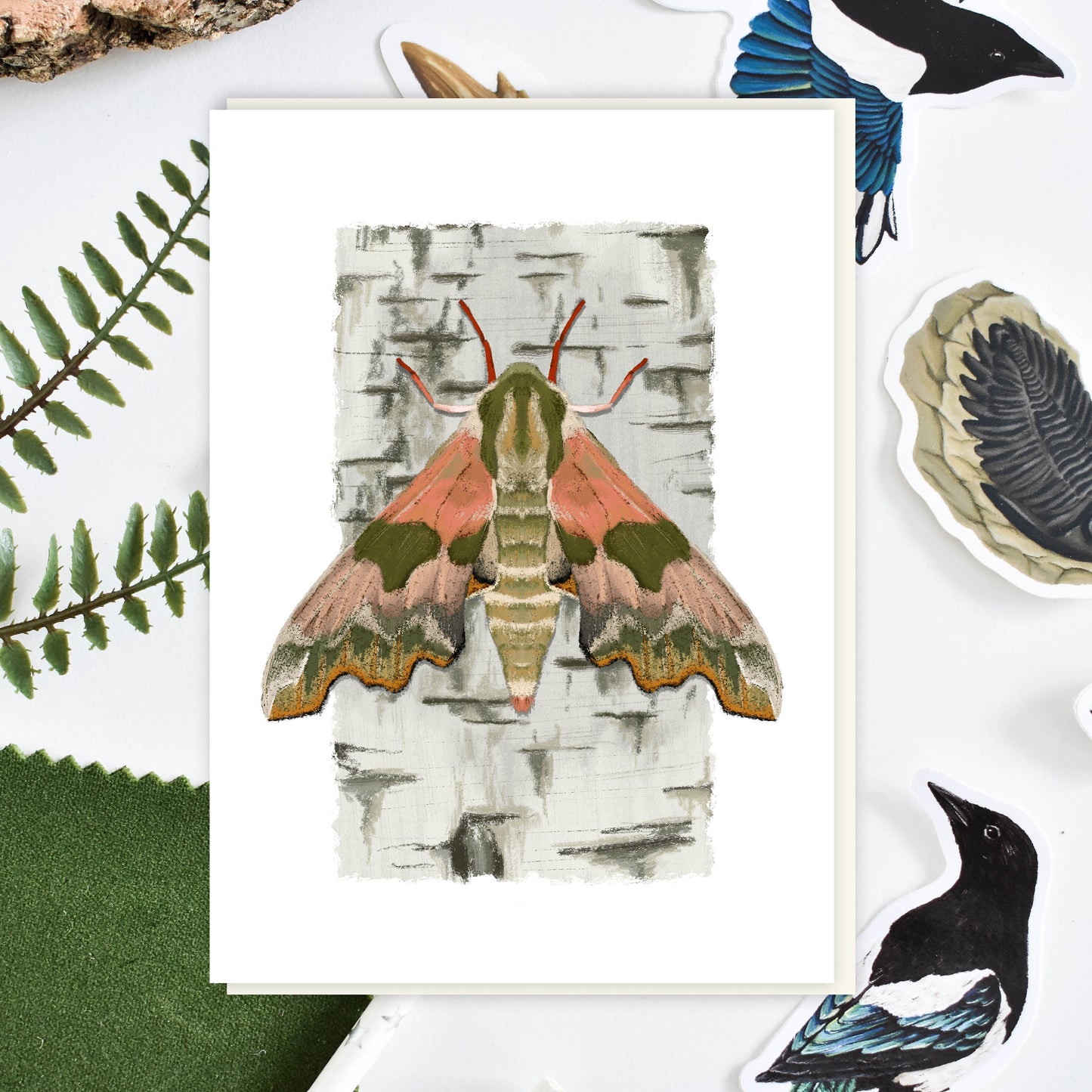 Lime Hawk Moth Blank Greetings Card