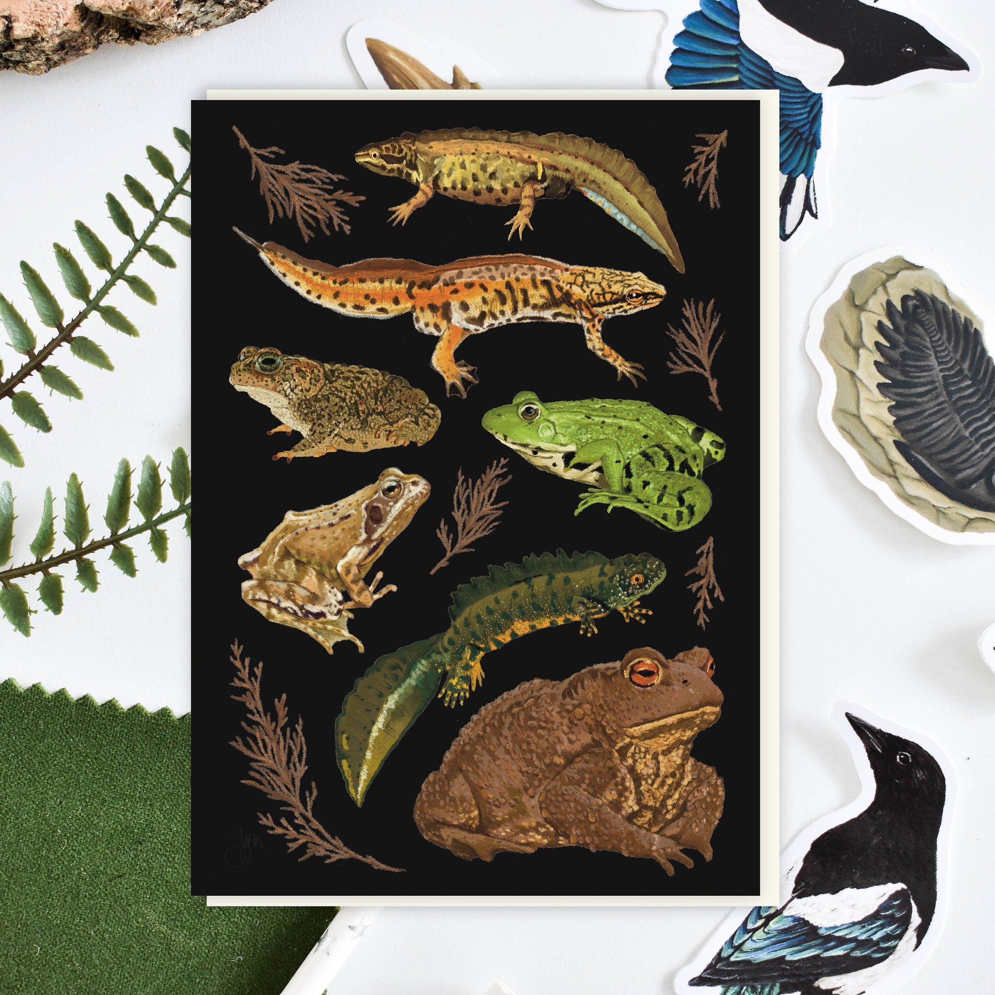 Second Sale, Mystery card bundle, Wildlife Greetings card, Nature Card, Naturalist gift, British wildlife Art, Blank Note Card, Bird Card