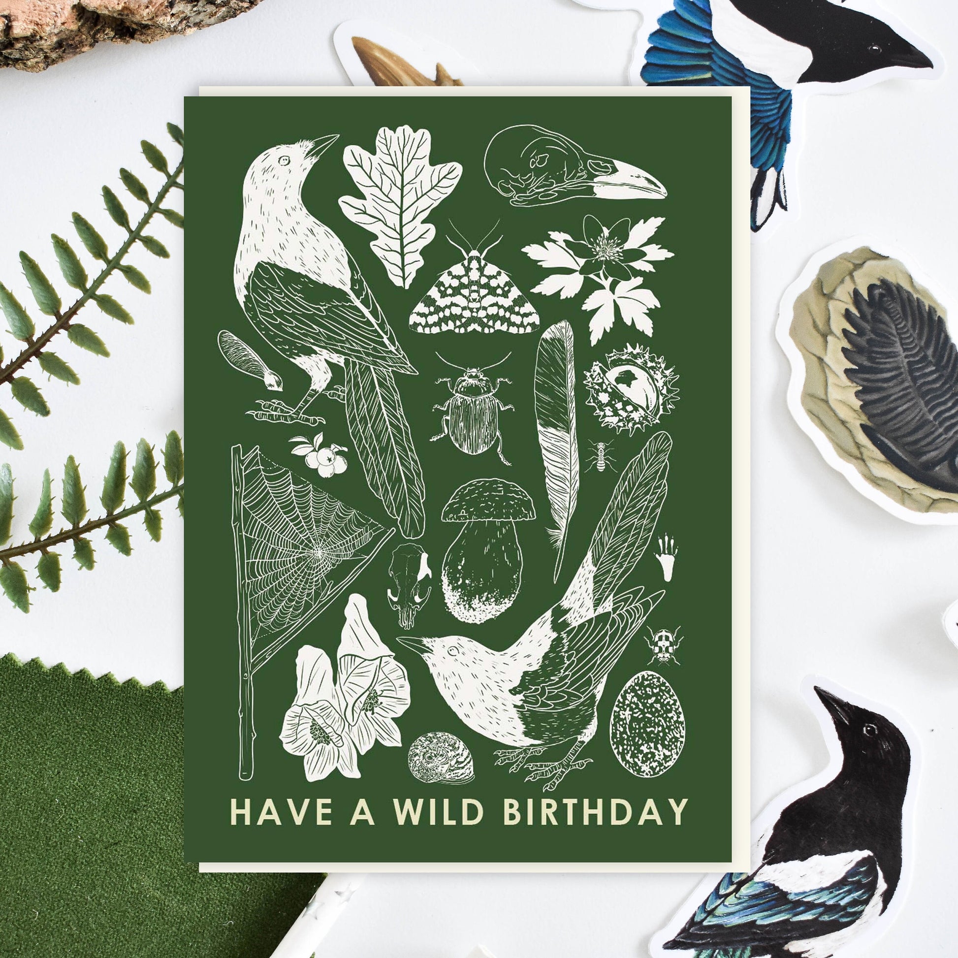 Second Sale, Mystery card bundle, Wildlife Greetings card, Nature Card, Naturalist gift, British wildlife Art, Blank Note Card, Bird Card