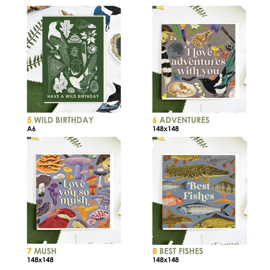 Second Sale, Mystery card bundle, Wildlife Greetings card, Nature Card, Naturalist gift, British wildlife Art, Blank Note Card, Bird Card