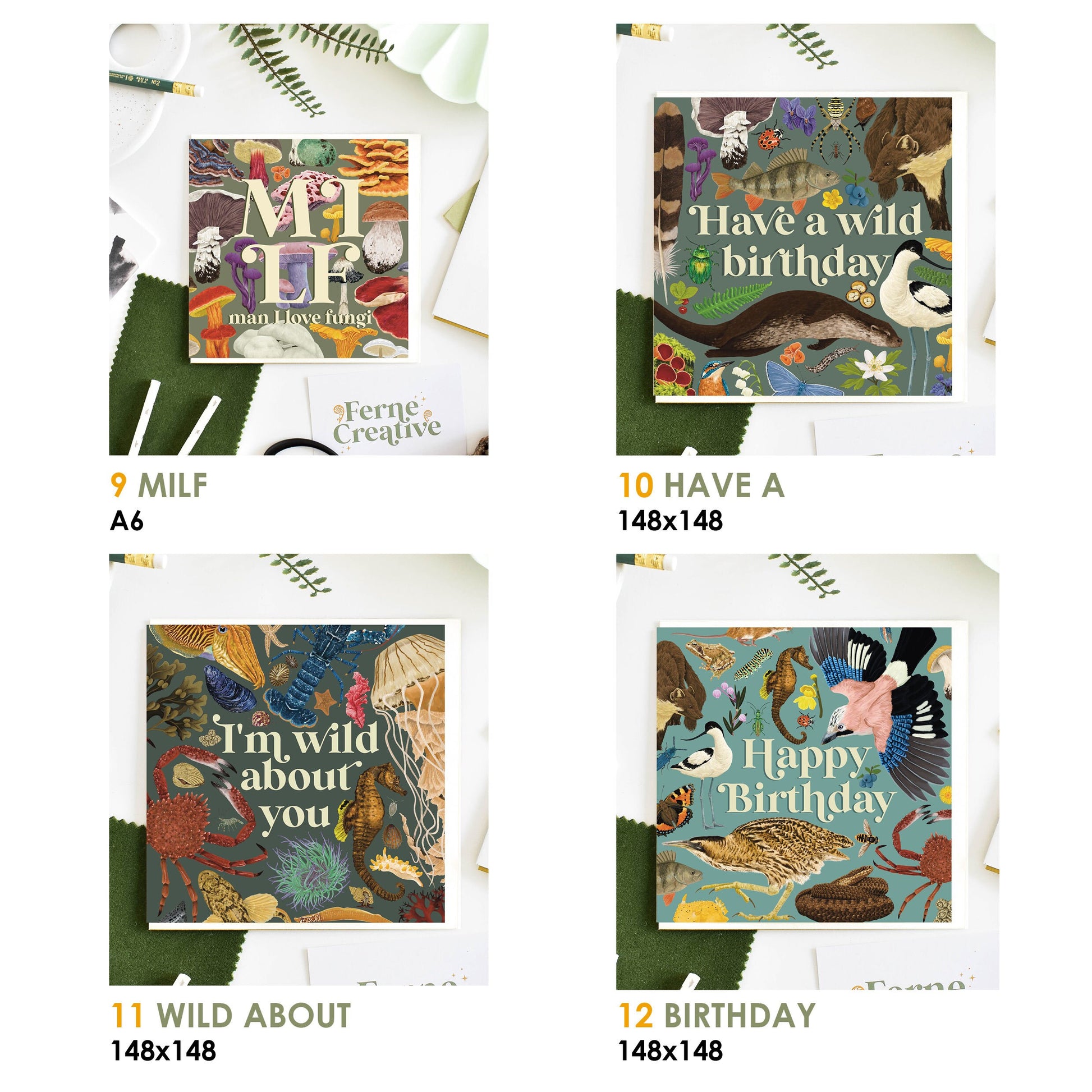 Second Sale, Mystery card bundle, Wildlife Greetings card, Nature Card, Naturalist gift, British wildlife Art, Blank Note Card, Bird Card