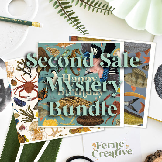 Second Sale, Mystery card bundle, Wildlife Greetings card, Nature Card, Naturalist gift, British wildlife Art, Blank Note Card, Bird Card