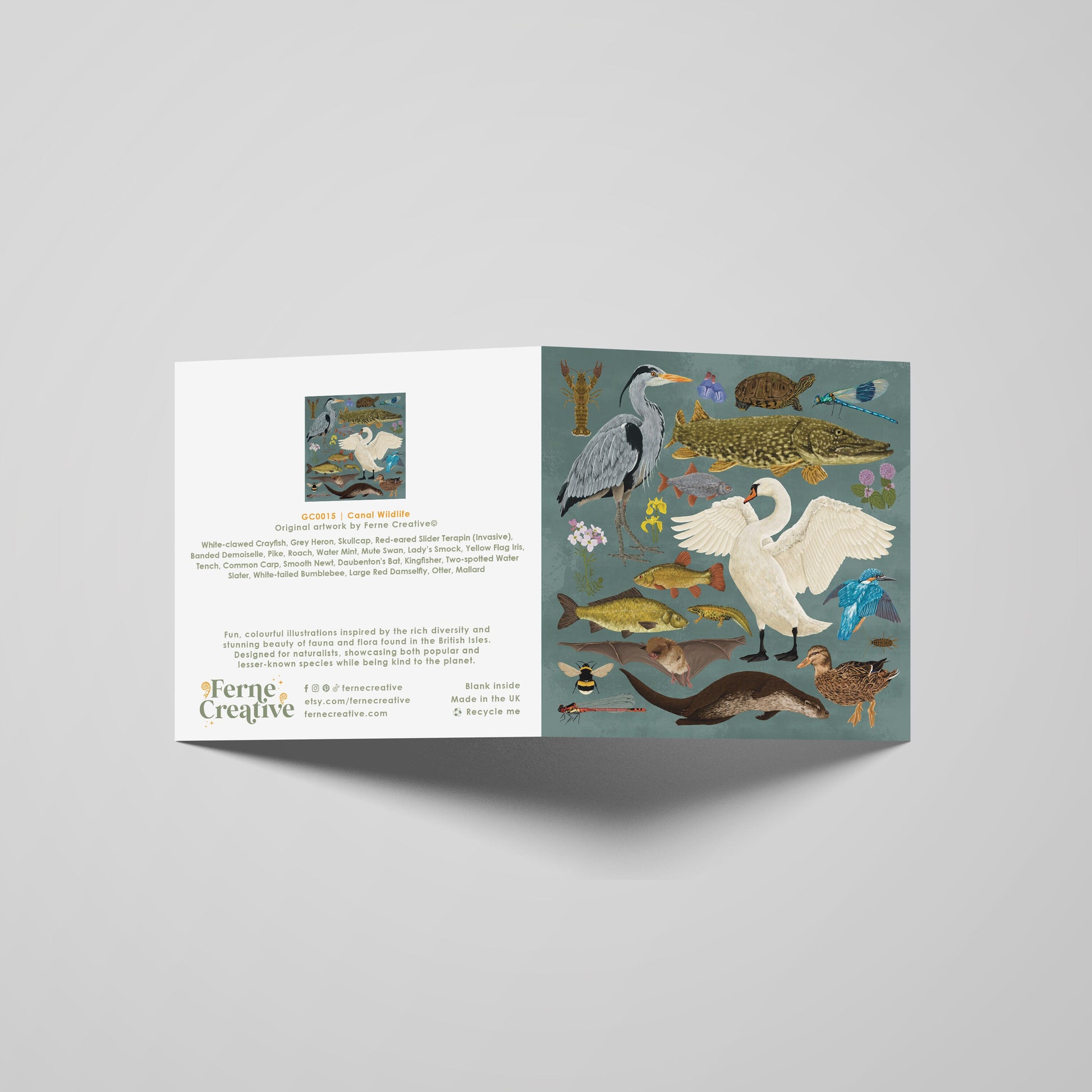 Canal Wildlife Illustrated Greetings Card with Otter, Fish, Bird, British Nature-Themed Blank Card, Perfect for Dad or Nature Lover Gift