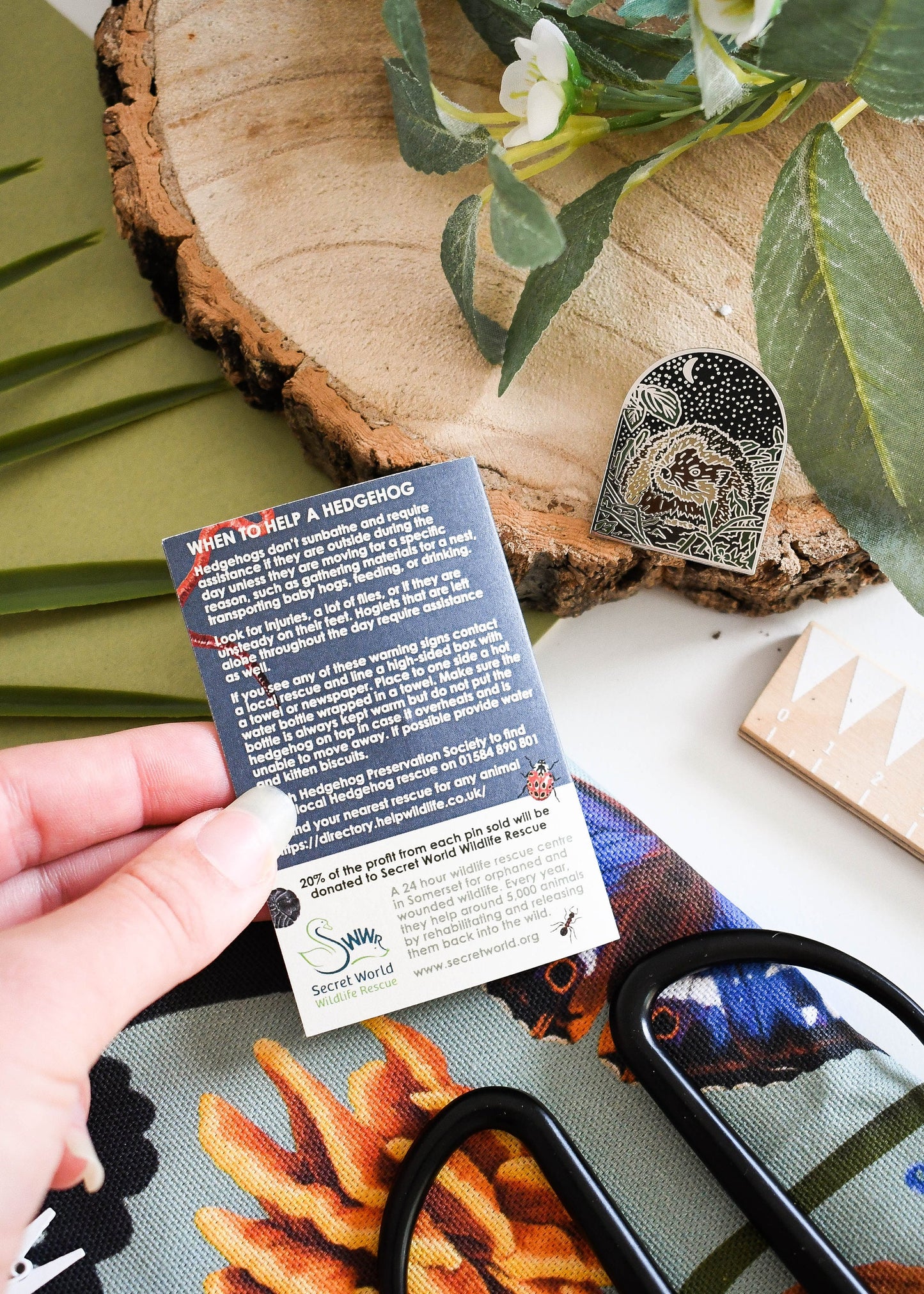 Hedgehog Conservation Enamel Pin