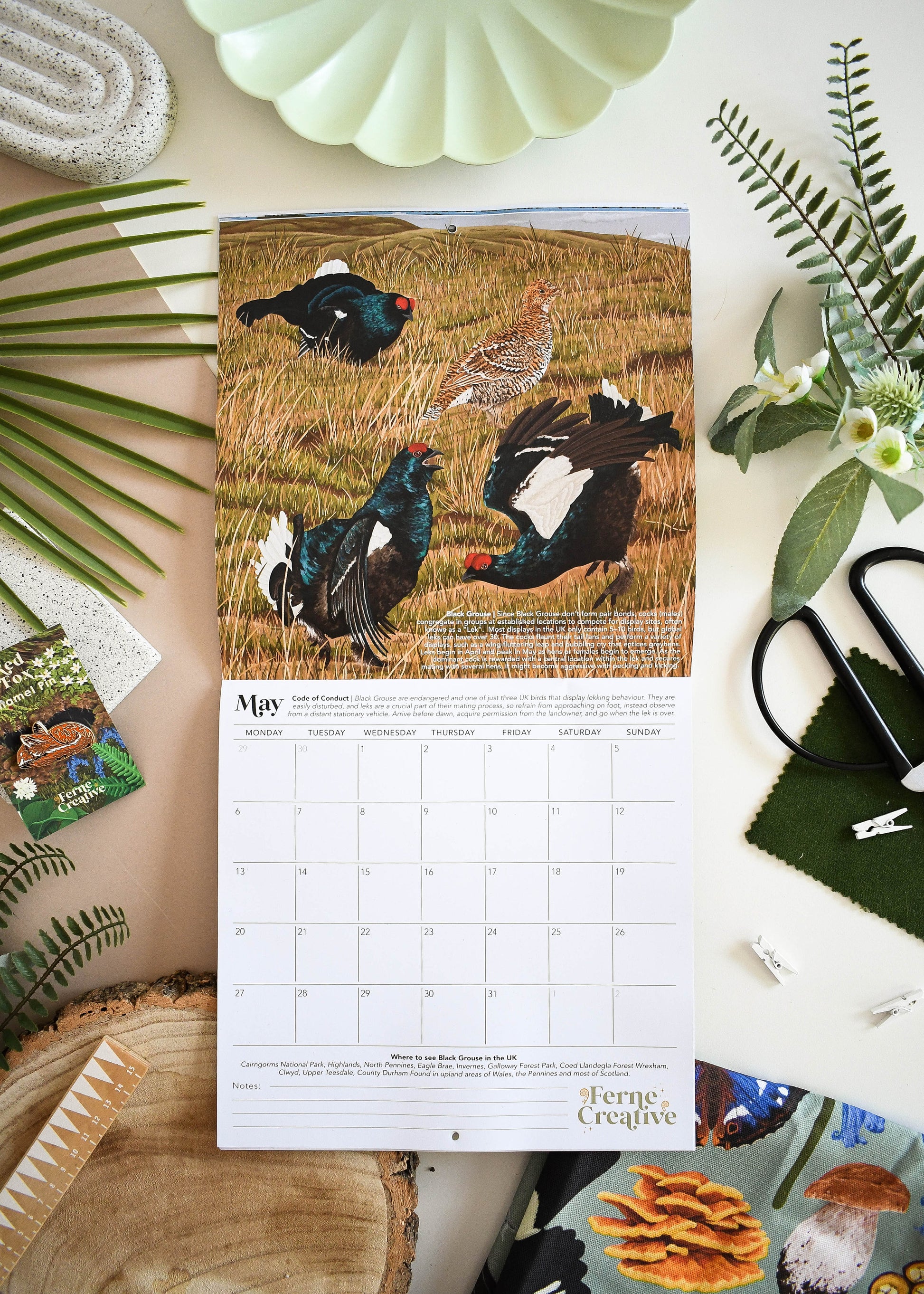 2024 British Wildlife Wall Calendar, Home Organisation, Perfect Planner for Nature Lovers, Unique Eco-friendly Gift, Wildlife Lovers gift