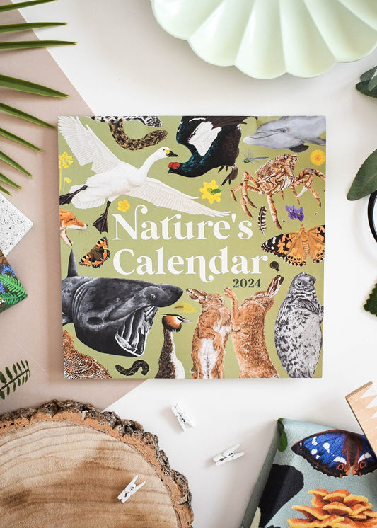 2024 British Wildlife Wall Calendar, Home Organisation, Perfect Planner for Nature Lovers, Unique Eco-friendly Gift, Wildlife Lovers gift