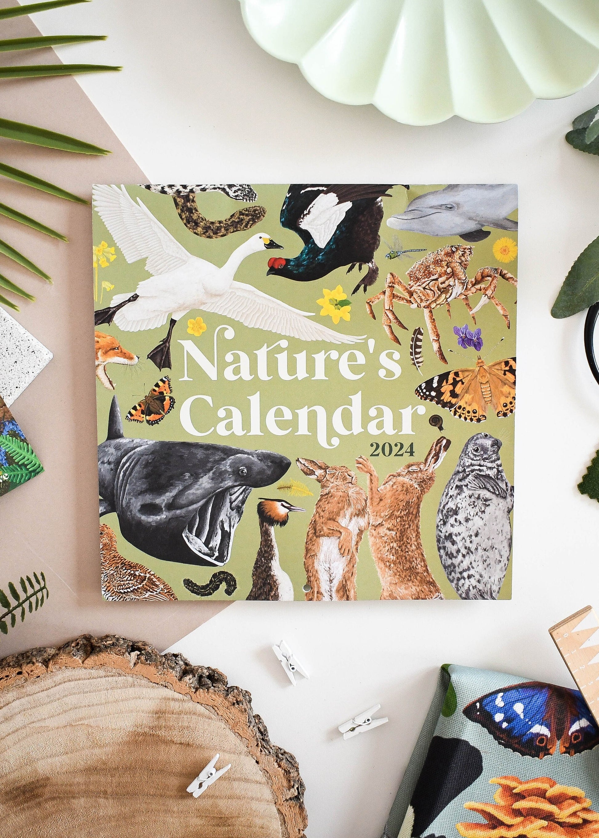 2024 British Wildlife Wall Calendar, Home Organisation, Perfect Planner for Nature Lovers, Unique Eco-friendly Gift, Wildlife Lovers gift