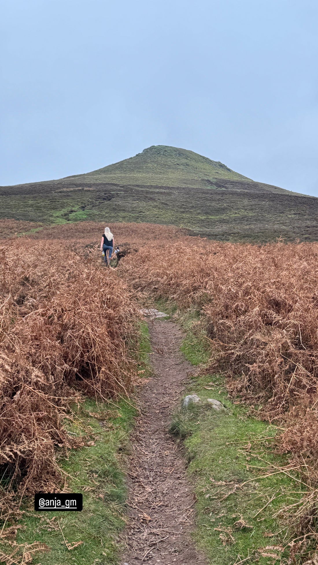 Sugarloaf Wales