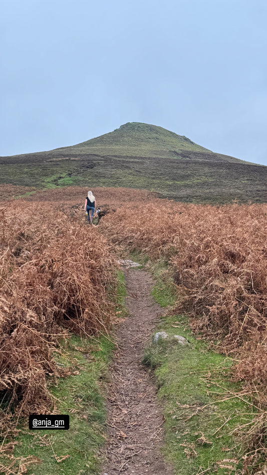 Sugarloaf Wales