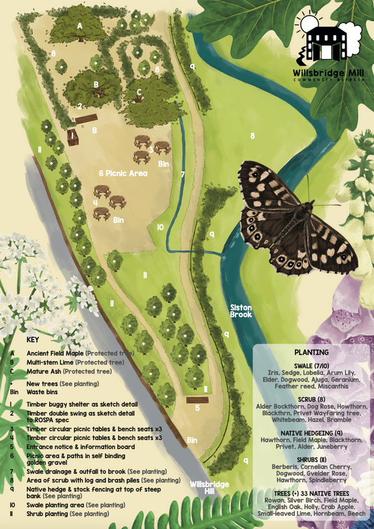 Bringing a Local Nature Reserve to Life: My Experience Illustrating a Site Plan