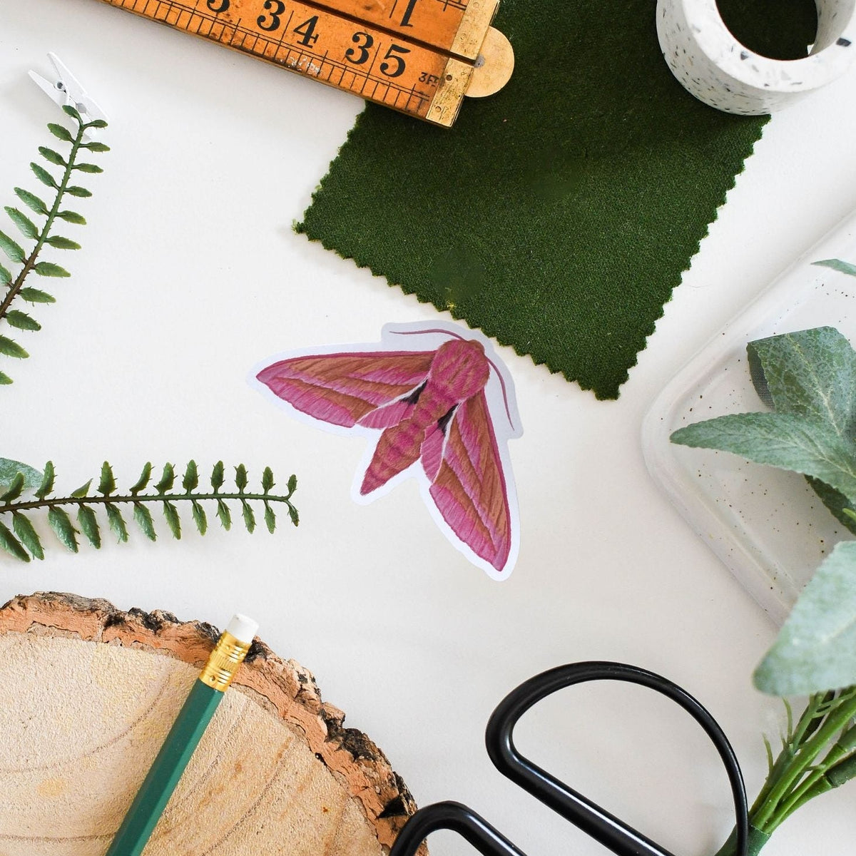 Insect & Pollinator Vinyl Stickers