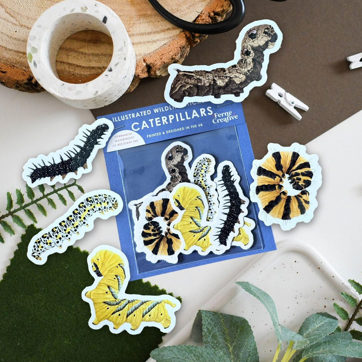 Caterpillar sticker pack with 5 caterpillar stickers around the blue pack